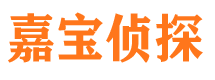 平舆捉小三公司